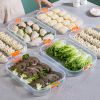 1pc Refrigerator Dumpling Storage Box; Frozen Dumplings Multi-layer; Household Large Capacity Dumpling Box Multifunctional 11.8in/8in - Three-layer